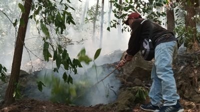 Taman Nasional: 102 Hektare Hutan Gunung Ciremai Terbakar