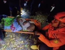 Hipotermia, Wisatawan di Gunung Gamalama Ternate Diselamatkan SAR Gabungan