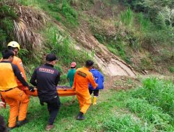 Hilang 10 Hari di Hutan, Jasad Kakek di Toraja Dievakuasi Tim SAR Gabungan