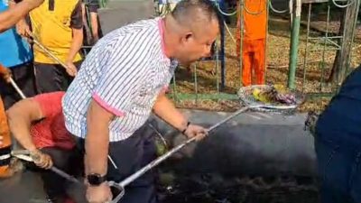 Forkopimko Jakut Bersihkan Terminal Tanjung Priok Jelang 17 Agustus