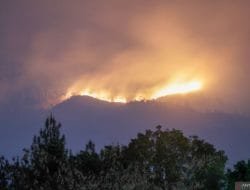 Kebakaran Hutan di Gunung Arjuno Dipadamkan Dari Darat dan Udara