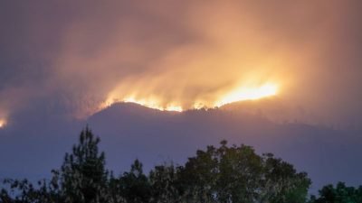 Kebakaran Hutan di Gunung Arjuno Dipadamkan Dari Darat dan Udara