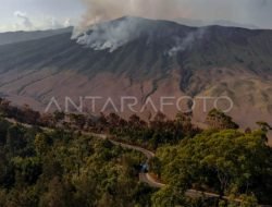 4 Pintu Masuk Bromo-Tengger-Semeru Ditutup Akibat Karhutla