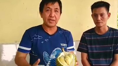 Durian Seberkat, Buah Masa Depan Asal Tebas Kabupaten Sambas