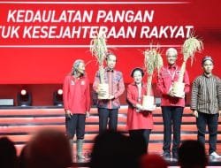 Pesan Megawati ke Jokowi untuk Cari Bahan Pangan Pengganti Gandum
