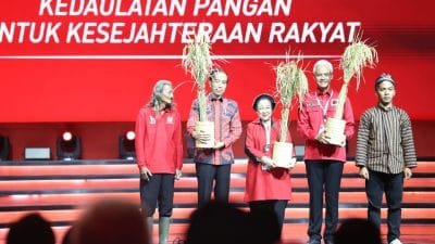Pesan Megawati ke Jokowi untuk Cari Bahan Pangan Pengganti Gandum