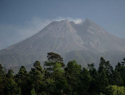 Jarak Capai 1,6 Km, Gunung Merapi Luncurkan Guguran Lava Pijar 10 Kali