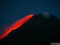 Guguran Lava Pijar Sejauh 1,5 Km Diluncurkan Gunung Merapi