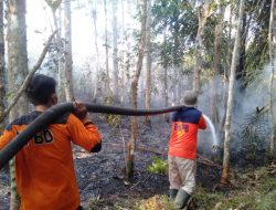 Satgas Berjibaku, Kebakaran Hutan Tiga Desa di OKU Berhasil Dipadamkan