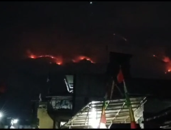 Kebakaran Hutan Landa Gunung Sumbing, Puluhan Pendaki Dievakuasi