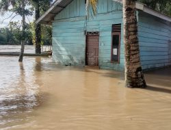 Capai 2 Meter, 5 Desa di Aceh Singkil Tergenang Banjir