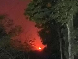 Pegunungan Argopuro-Jember Terbakar, Posko Pantau Disiagakan di Badean