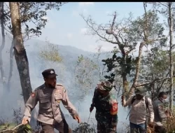 Karhutla di Lereng Gunung Argopuro Jatim Capai 10 Hektare