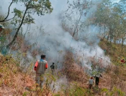 BPBD: September 2023, Karhutla Bencana Dominan di Bali