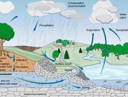 BMKG: Perubahan Iklim Ancam Keberlangsungan Hidup Seluruh Makhluk Bumi