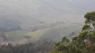 Usai Terbakar Akibat Suar, Savana Gunung Bromo Mulai Hijau