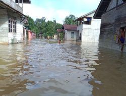 Banjir Terjang Landak-Kalbar, BPBD: 1.241 Warga Terdampak