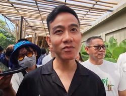 Nurul Arifin Sebut Gibran Justru akan Semakin Populer jika Terus Menerus Diserang