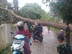 Ahad, Hujan Lebat Guyur Sejumlah Provinsi, BMKG Ingatkan Waspada