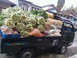 Kemendag Sorot Tarif Angkutan Kebutuhan Pokok, Khususnya Bawang dan Cabai