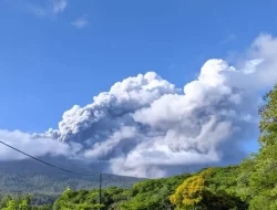 Sebelum Meletus, Kegempaan Gunung Lewotobi Laki-laki Meningkat