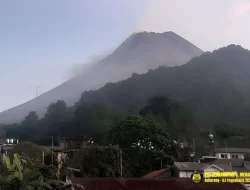 Mengarah ke Kali Bebeng, Gunung Merapi Luncurkan Guguran Lava 1.700 Meter