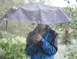 BMKG: Sejumlah Provinsi Berpotensi Dilanda Hujan Lebat Disertai Angin Kencang