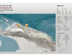 Dipicu Sesar Anjak Mamberamo, Wilayah Sarmi-Papua Diguncang Gempa Magnitudo 6,4