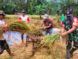 TNI Diminta Presiden Jokowi Bantu Petani, Meningkatkan Ketahanan Pangan