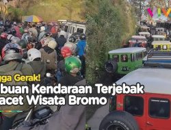 Mendadak Viral, Wisatawan Banjiri Gunung Bromo