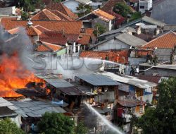 Pagi Tadi, Kebakaran di Pemukiman Padat Penduduk Kwitang Jakpus