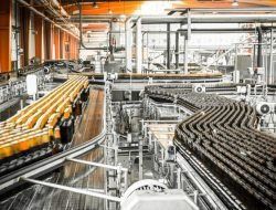 Mengejutkan! Uni Emirat Arab Resmikan Pabrik Bir Pertama