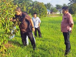 Wabup Asahan Sambangi Petani Durian di Desa Meranti