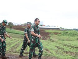 Perintah Kasad: Ubah Lahan Tidur Jadi Lahan Produktif!