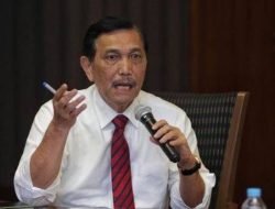 Tom Lembong Kritisi Soal Turunnya Harga Nikel, Luhut: Bahaya Kalau Terlalu Tinggi