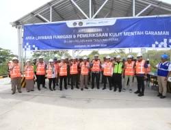 BKHIT Jatim Tetapkan Area Layanan Fumigasi-Kulit Mentah Garaman di Teluk Lamong