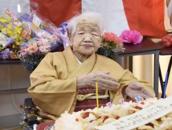 Terkuak! Rahasia Umur Panjang Orang Jepang
