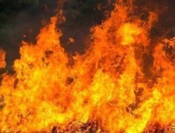 Tiga Pabrik di Kalideres Dilalap Api, Akibat Listrik Korsleting