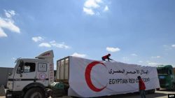 Organisasi Kemanusiaan WCK Kembali Beroperasi di Jalur Gaza