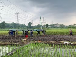 Personel Kodim 0819/Pasuruan Siapkan Lahan Untuk Ketahanan Pangan