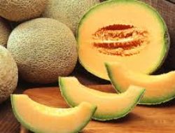 Cocok untuk Buka Puasa! Buah Melon Mencegah Dehidrasi