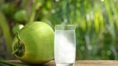 Manfaat Minum Kelapa Muda saat Buka Puasa