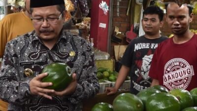 Tanggulangi Stunting, Pemkab Pasuruan Gelar Gerakan Makan Alpukat
