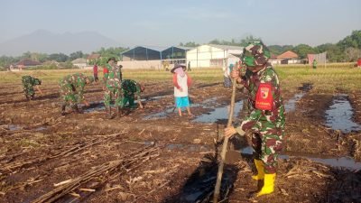 Dukung Hanpangan, Koramil 11 Beji Bantu Petani Tanam Jagung