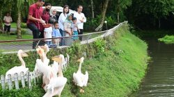 Libur Lebaran, Presiden Jokowi Temani Cucu Bermain di Mini Zoo