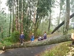 Babinsa Desa Kayukebek dan Warga Bersihkan Pohon Roboh