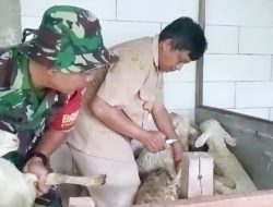 Babinsa dan Dinkes Laksanakan Vaksinasi Hewan di Dusun Gendol