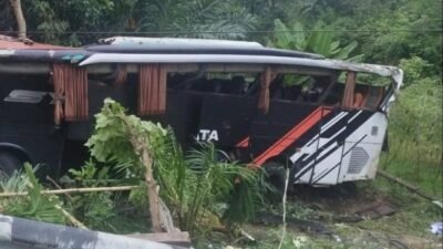 Bus Rombongan Pelajar MIN 1 Pesisir Barat Lampung Masuk Jurang