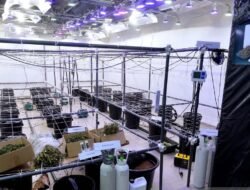 3 WNA Pengendali Laboratorium Narkoba Rahasia di Bali Diungkap Polri