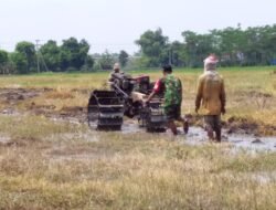 Babinsa Ketangirejo Terus Berkomitmen Dukung Petani Lokal